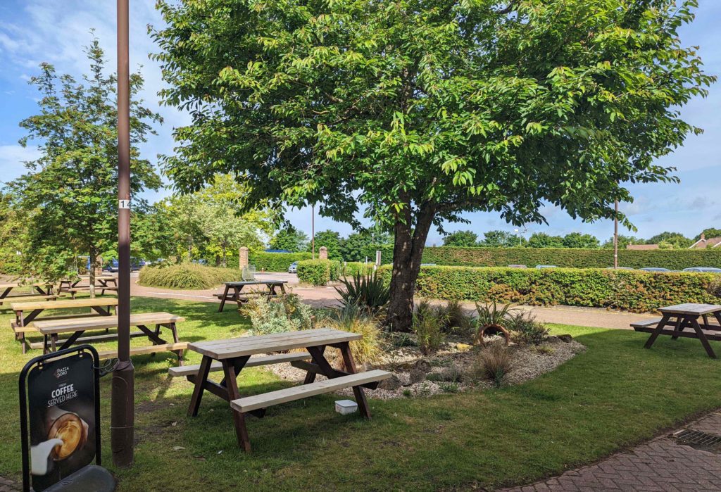 outside garden area with greenery